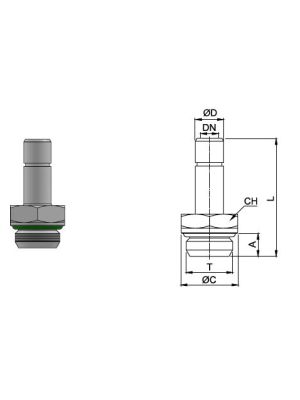 Einschraub-Schlauchtülle aus Edelstahl AISI 316L mit BSPP-Aussengewinde
