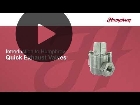 Schnellentlüftungsventil - 3/8 NPT - Buna-N